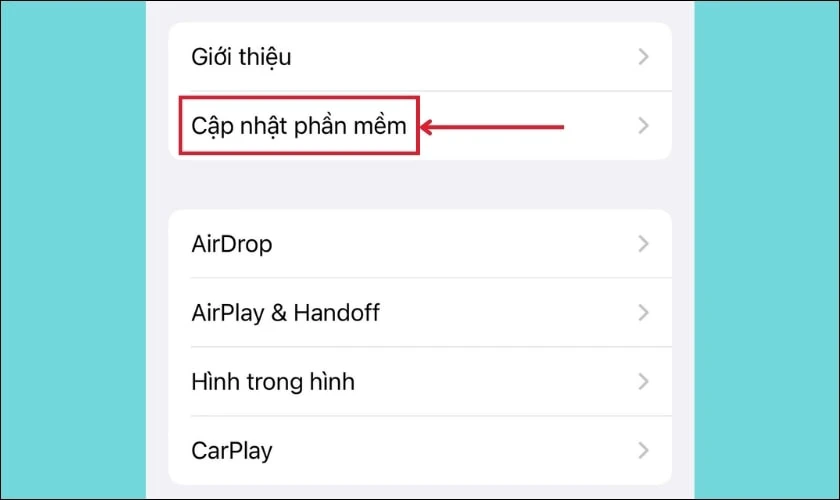 Chọn v&agrave;o mục Cập nhật phần mềm
