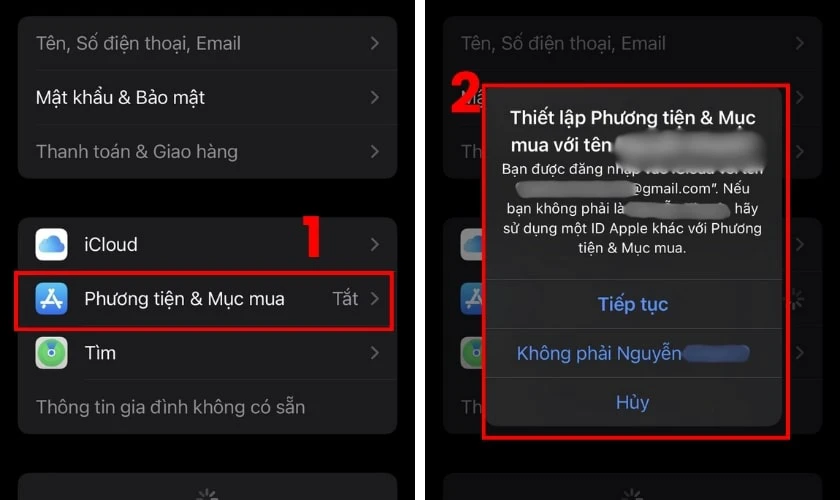 Chọn Tiếp tục từ cửa sổ bật lên xuất hiện để đăng nhập cùng một ID Apple mà bạn sử dụng cho iCloud