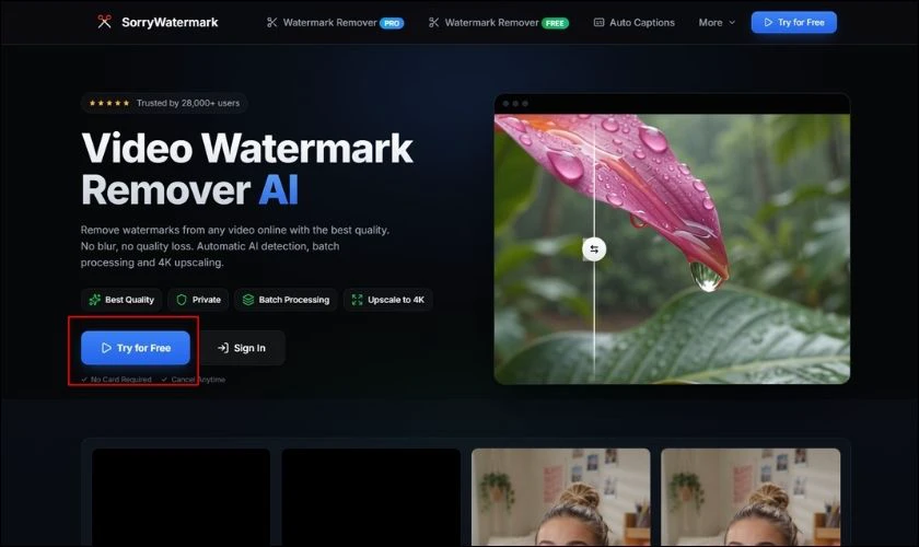 Sorry Watermark — Công cụ xóa logo chuyển động trên video AI