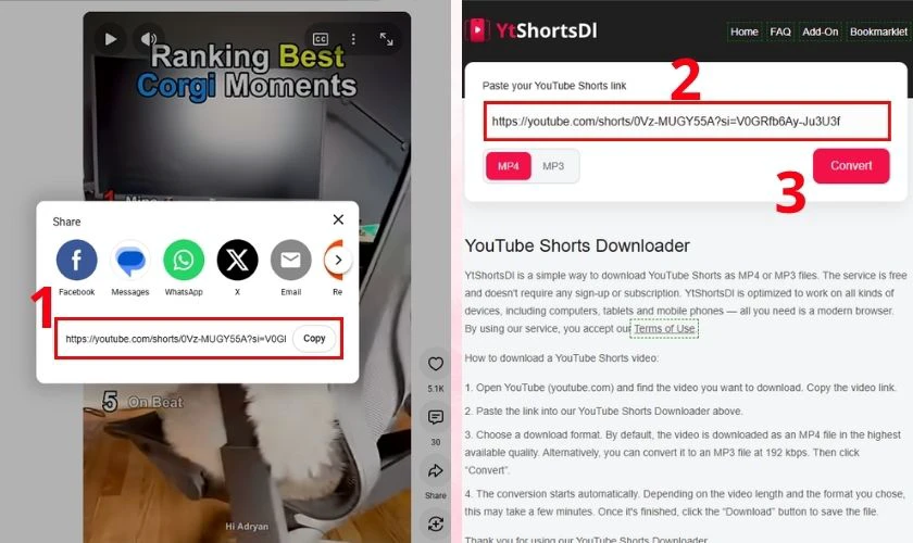 Tải video Shorts với Youtube Short Downloader