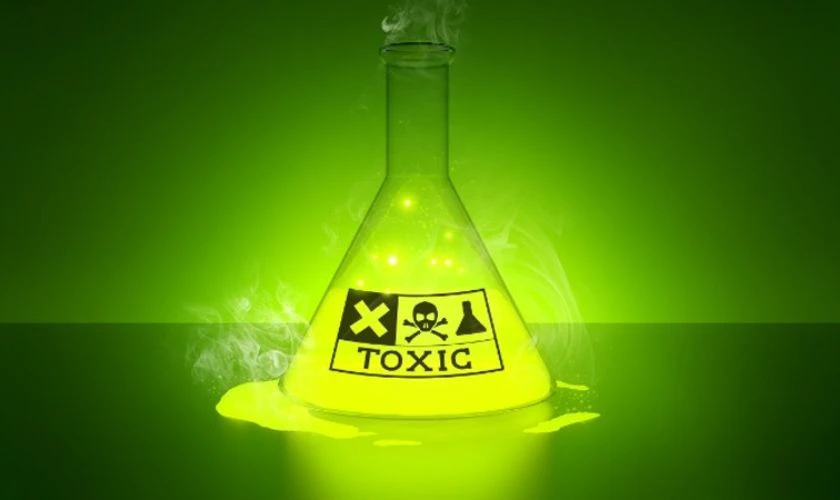Toxic l&agrave; g&igrave;?