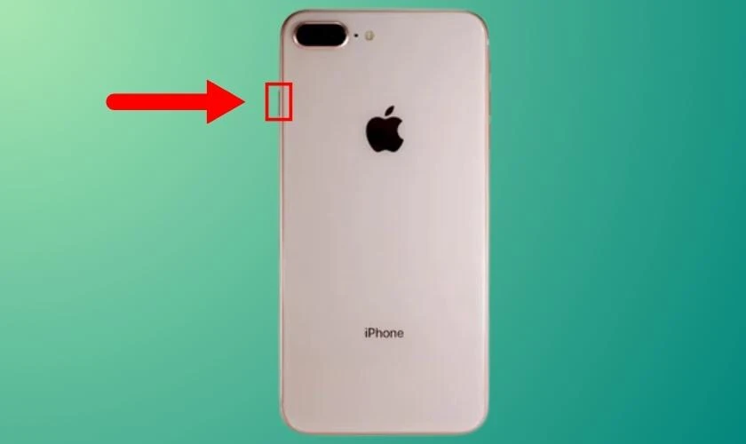 C&aacute;ch xử l&yacute; khi Zalo h&ocirc;m nay bị lỗi giật lag, chạy chậm tr&ecirc;n iPhone