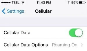 Làm gì khi điện thoại iPhone bị mất sóng 2G, 3G, 4G