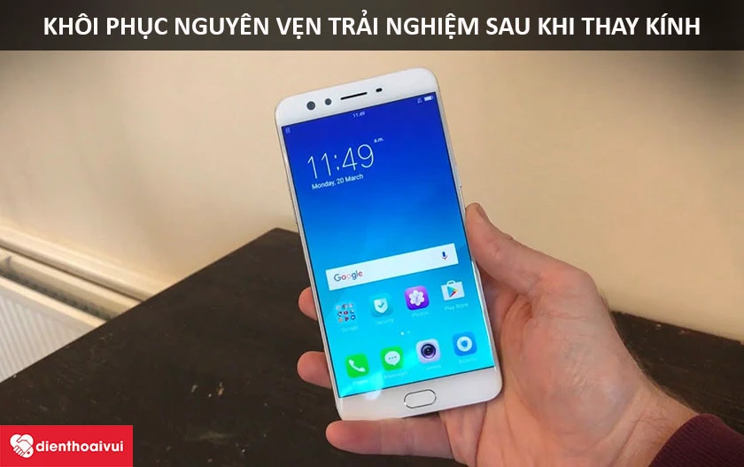 12 tháng (6 tháng với cảm ứng)