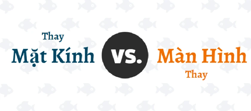 Ph&acirc;n biệt mặt k&iacute;nh cảm ứng v&agrave; m&agrave;n h&igrave;nh hiển thị