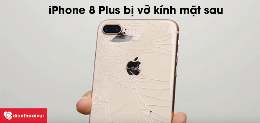 Lưu &yacute; khi t&igrave;m kiếm địa chỉ thay k&iacute;nh lưng iPhone 8 Plus uy t&iacute;n, chất lượng