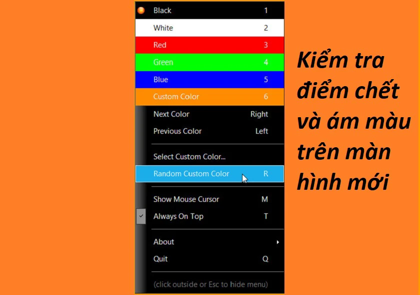 Kiểm tra điểm chết màu