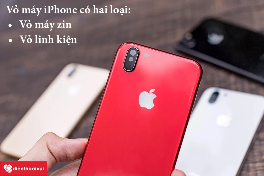 Những loại vỏ đang c&oacute; mặt tr&ecirc;n thị trường