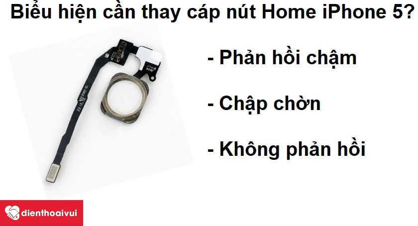 Cách vệ sinh nút Home iPhone 5?