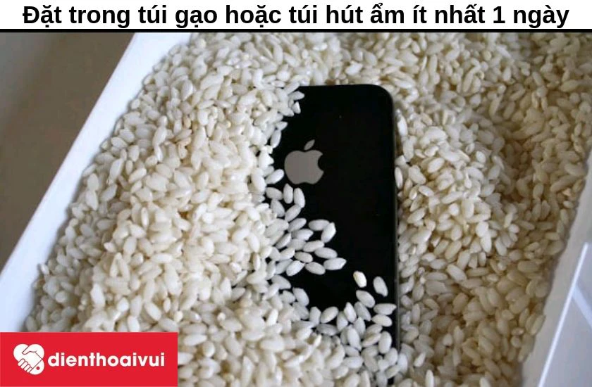 Bạn đặt m&aacute;y iPhone 6s Plus trong t&uacute;i gạo hoặc t&uacute;i h&uacute;t ẩm &iacute;t nhất 1 ng&agrave;y