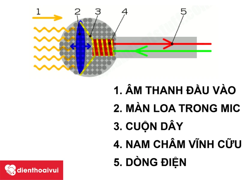 Cấu tạo loa điện thoại