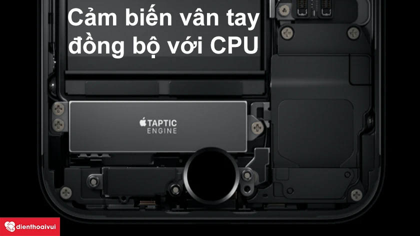 Đồng bộ cảm biến vân tay với CPU