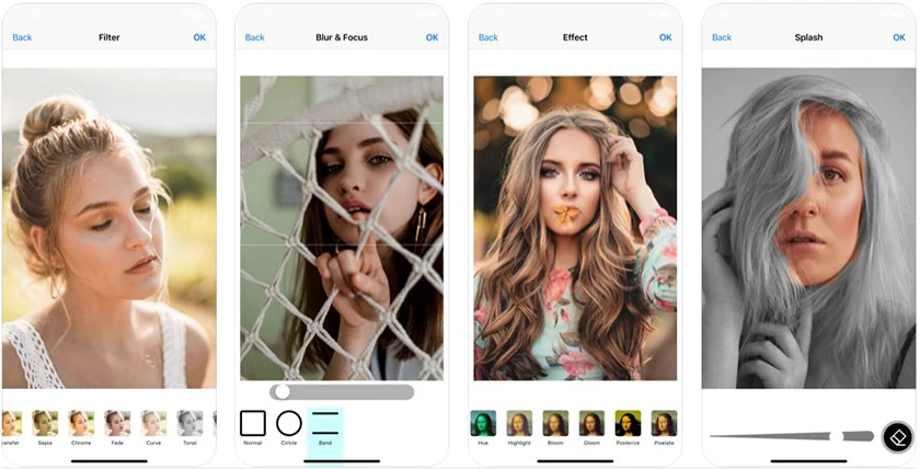 Picture Perfect - All in One