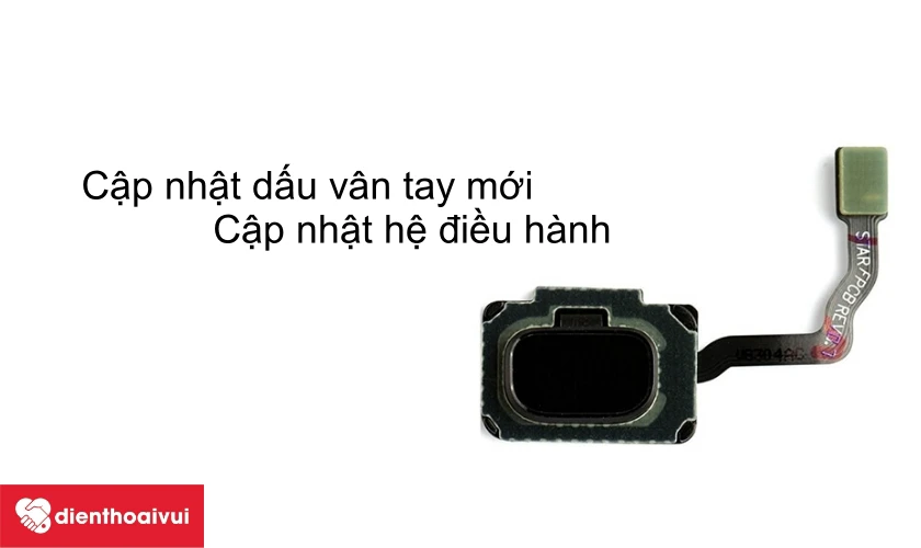 Cập nhật dấu v&acirc;n tay mới