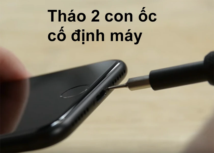 C&aacute;ch th&aacute;o điện thoại iPhone 7/ 7 Plus để thay pin