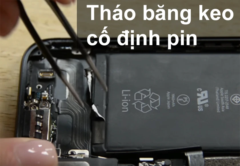 th&aacute;o rời cụm camera trước khi thay pin cho iPhone 7/ 7 Plus