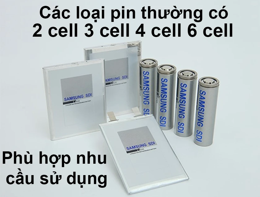 Có mấy loại