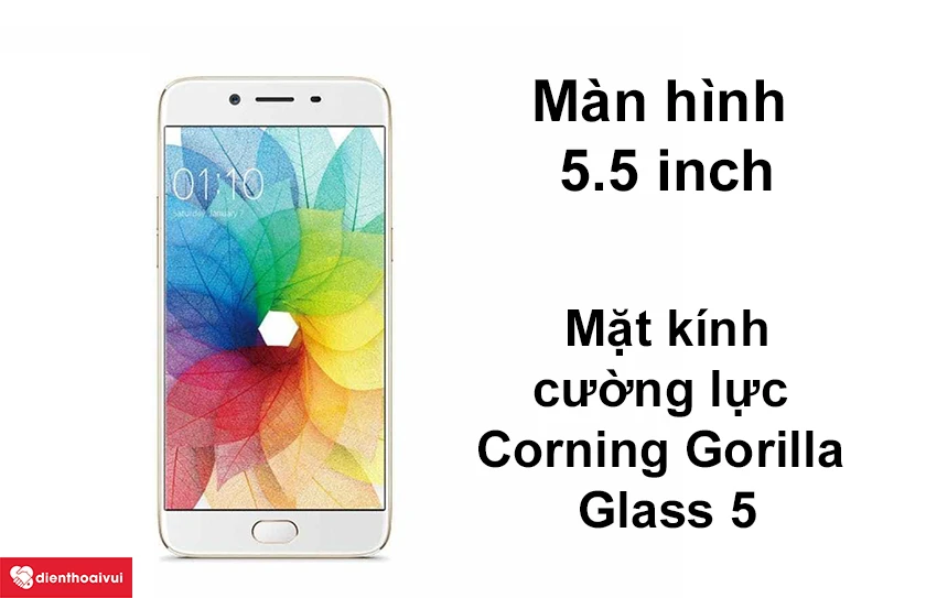 Màn hình 5.5 inch
