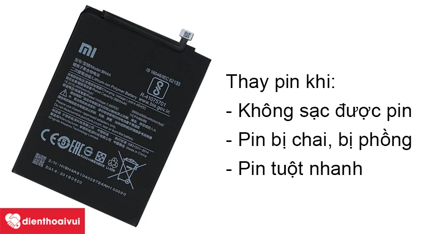 Dấu hiệu nhận biết