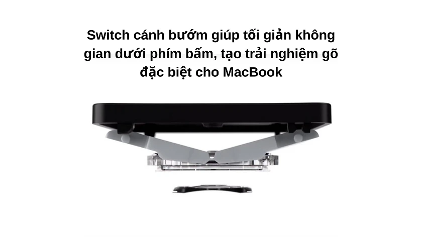 b&agrave;n ph&iacute;m macbook c&aacute;nh bướm