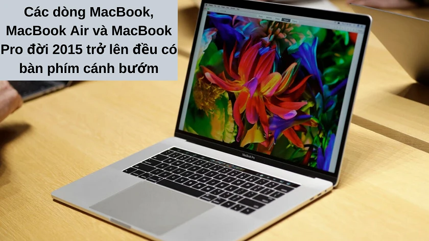 Bàn phím cánh bướm có tr&ecirc;n dòng MacBook nào?