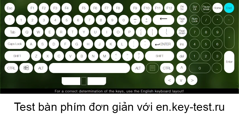 En.key-test.ru - test b&agrave;n ph&iacute;m macbook 