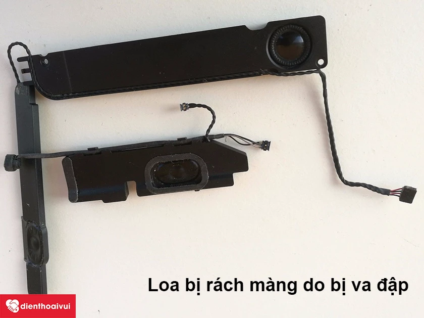 M&agrave;ng loa bị r&aacute;ch do va đập