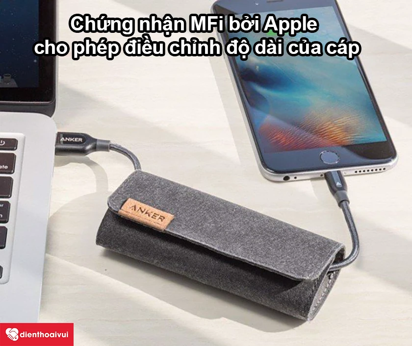 Cáp Anker Powerline + Lightning A8121
