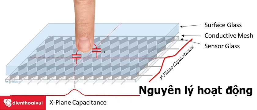 Nguy&ecirc;n l&yacute; hoạt động?