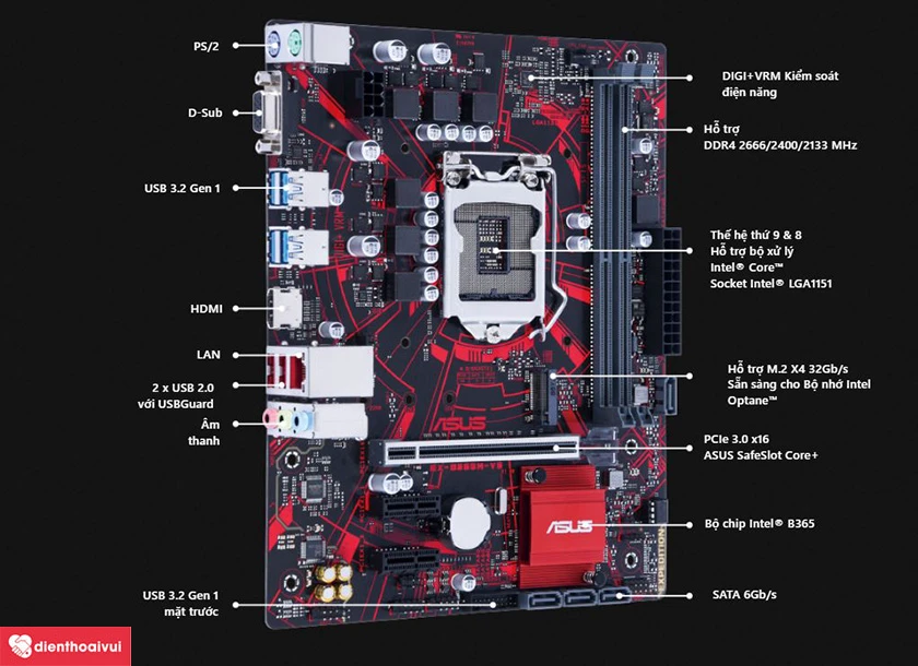 Mainboard ASUS EX-B365M-V5 