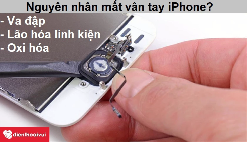Nguy&ecirc;n nh&acirc;n dẫn đến việc mất v&acirc;n tay iPhone