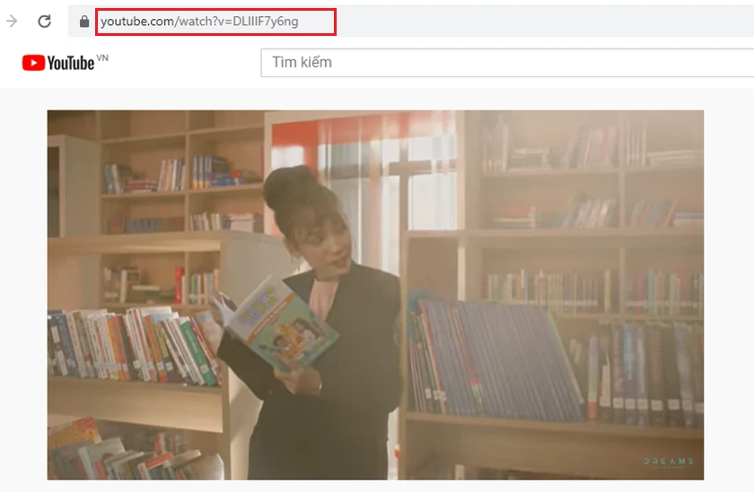 Bạn h&atilde;y copy đường link của video đ&oacute;.