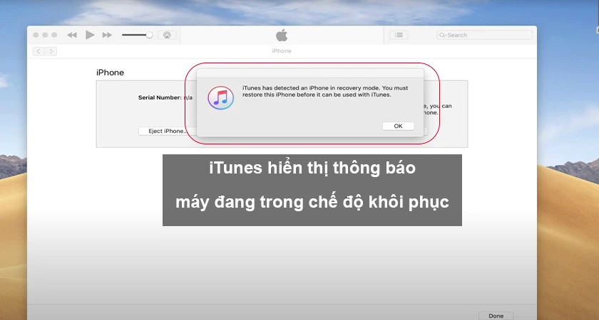 Thả nút nguồn ra, vẫn tiếp tục giữ nút Home đến khi iTune của bạn hiển thị thông báo đã nhận thiết bị.