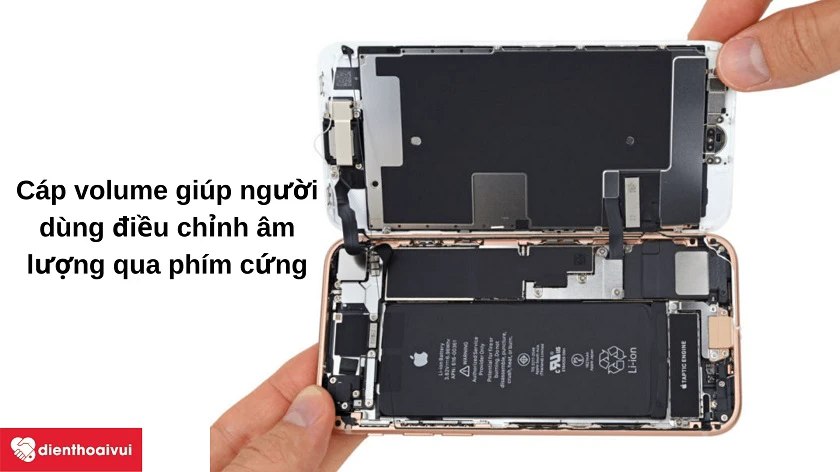 Chức năng của cáp volume trong đi&ecirc;̣n thoại iPhone 8