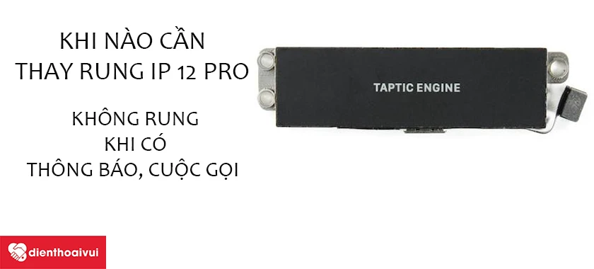 Khi nào cần thay rung iP 12 Pro