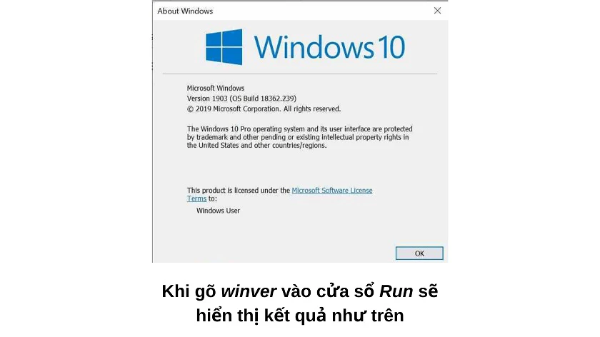 Cài ti&ecirc;́ng Vi&ecirc;̣t cho Win 10 SL (Window 10 phi&ecirc;n bản Single Language)