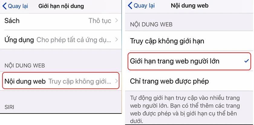Cách chặn web đen trên điện thoại iPhone