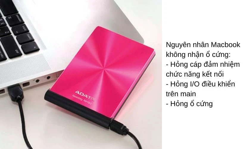 Vì sao Macbook không nhận ổ cứng ngoài?