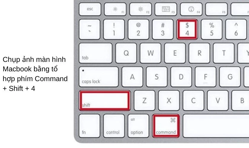 Hướng dẫn chụp m&agrave;n h&igrave;nh bằng tổ hợp ph&iacute;m Command + Shift + 4