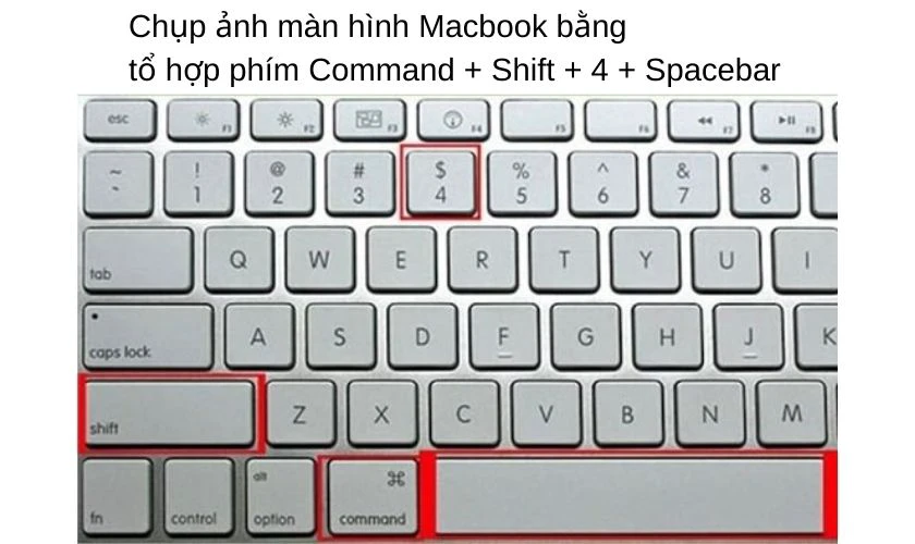 Ph&iacute;m tắt chụp m&agrave;n h&igrave;nh Command + Shift + 4 + Spacebar