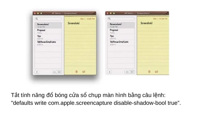 Đổ b&oacute;ng cửa sổ