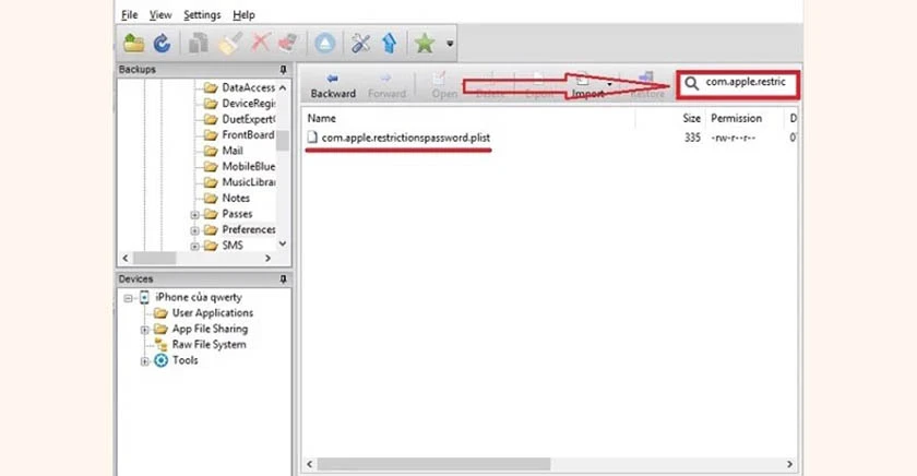 Điền từ kh&oacute;a &ldquo;com.apple.restrictionspassworld.plist&rdquo;