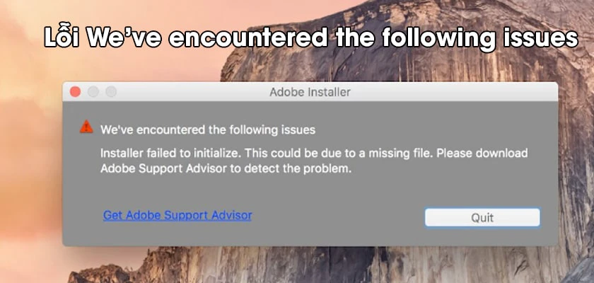lỗi weve encountered the following issues