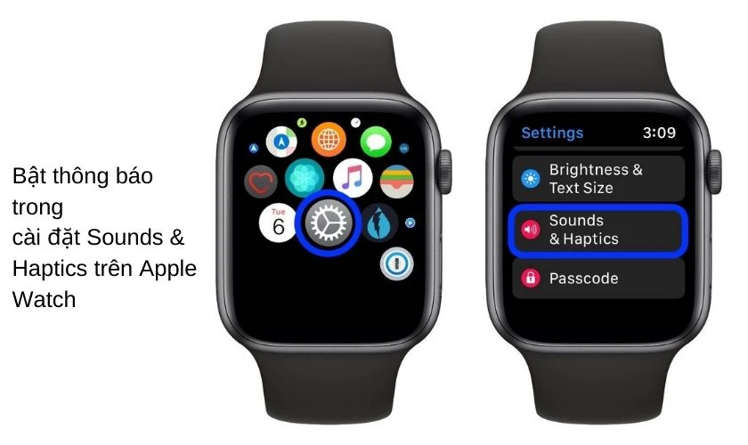 apple watch kh&ocirc;ng nhận được cuộc gọi do chưa bật th&ocirc;ng b&aacute;o