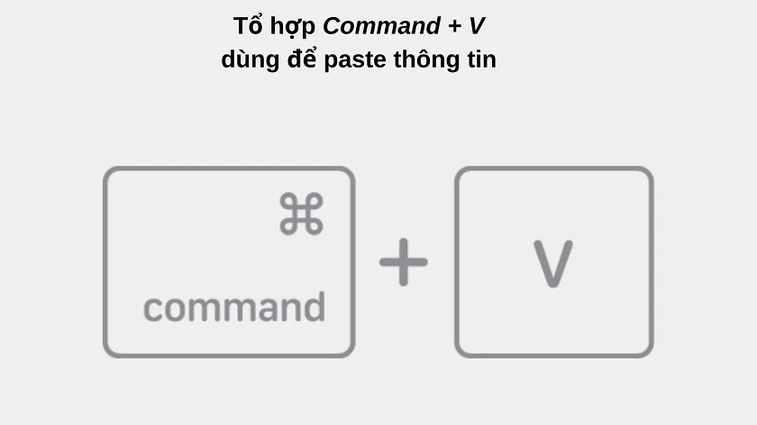 Cách copy paste trên MacBook Pro | Air