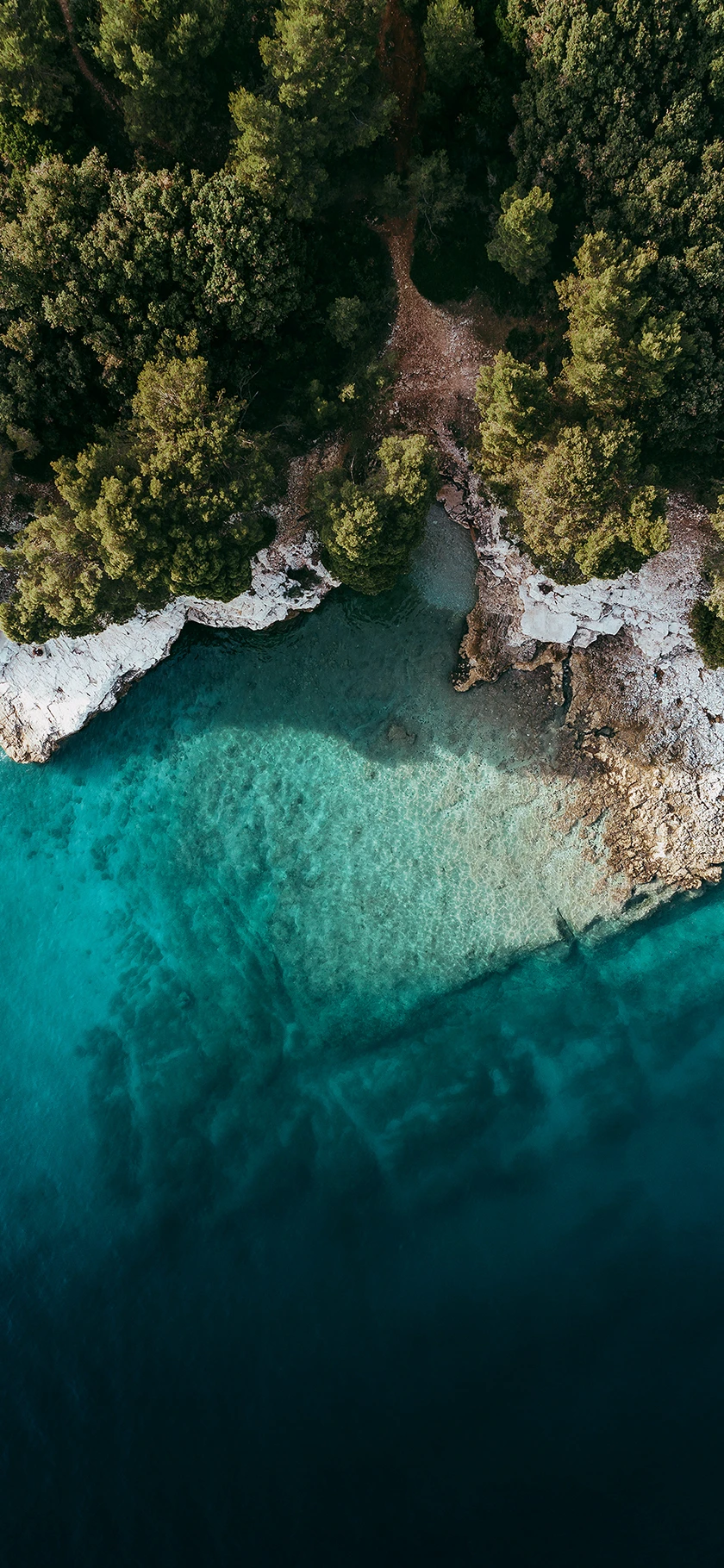 Wallpaper Android đẹp v&agrave; độc
