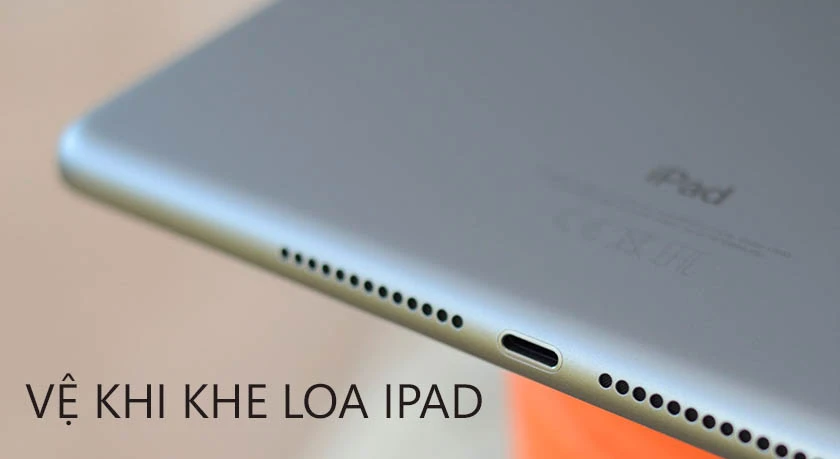 Vệ khi khe loa