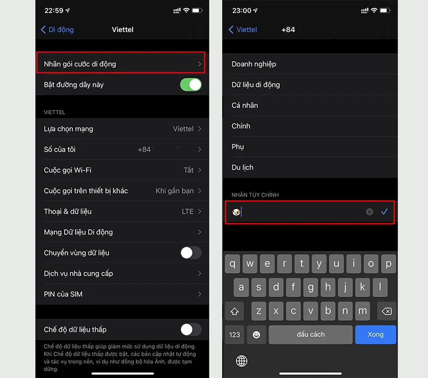 C&aacute;ch thay t&ecirc;n mạng di động th&agrave;nh icon tr&ecirc;n iPhone