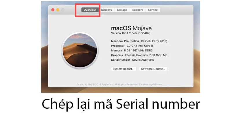 Ch&eacute;p lại m&atilde; Serial number
