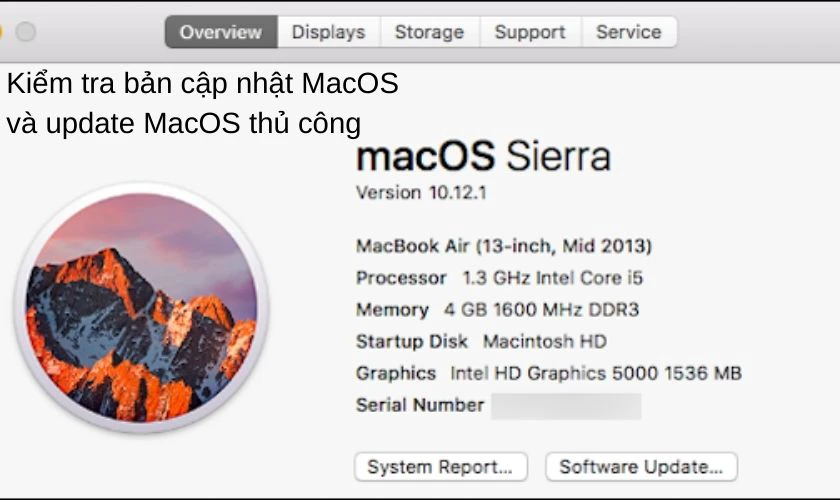 C&aacute;ch update Mac OS, mac os update kiểm tra bản cập nhật m&aacute;y Mac
